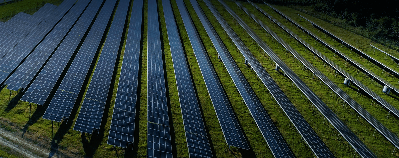 solar farm seen from above